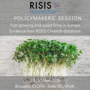 Policy-makers session on the RISIS project