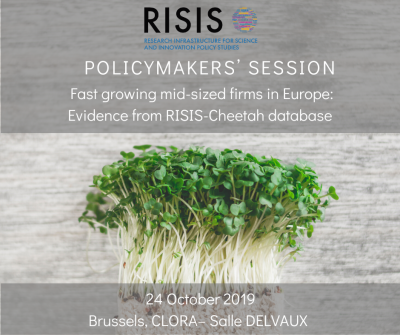 Read more about the article Policy-makers session on the RISIS project